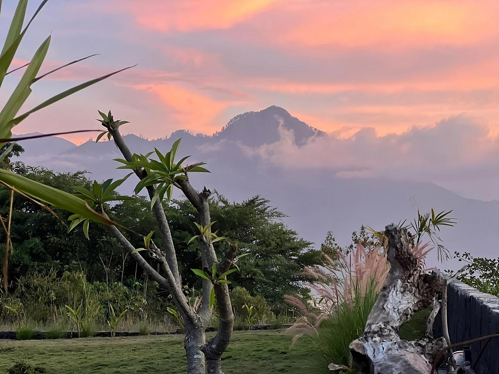 Hillside Bali Bed & Breakfast Kubupenlokan Eksteriør bilde