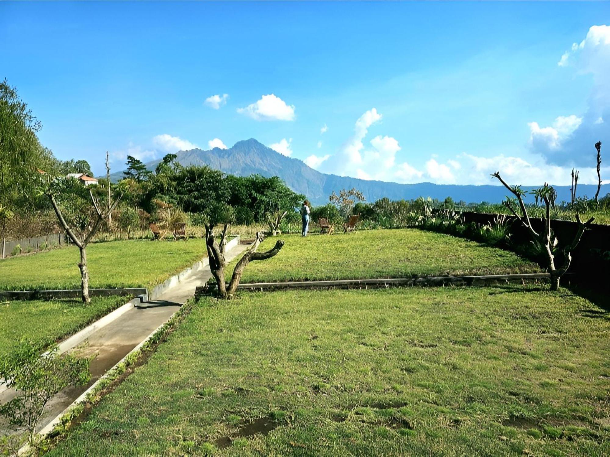 Hillside Bali Bed & Breakfast Kubupenlokan Eksteriør bilde