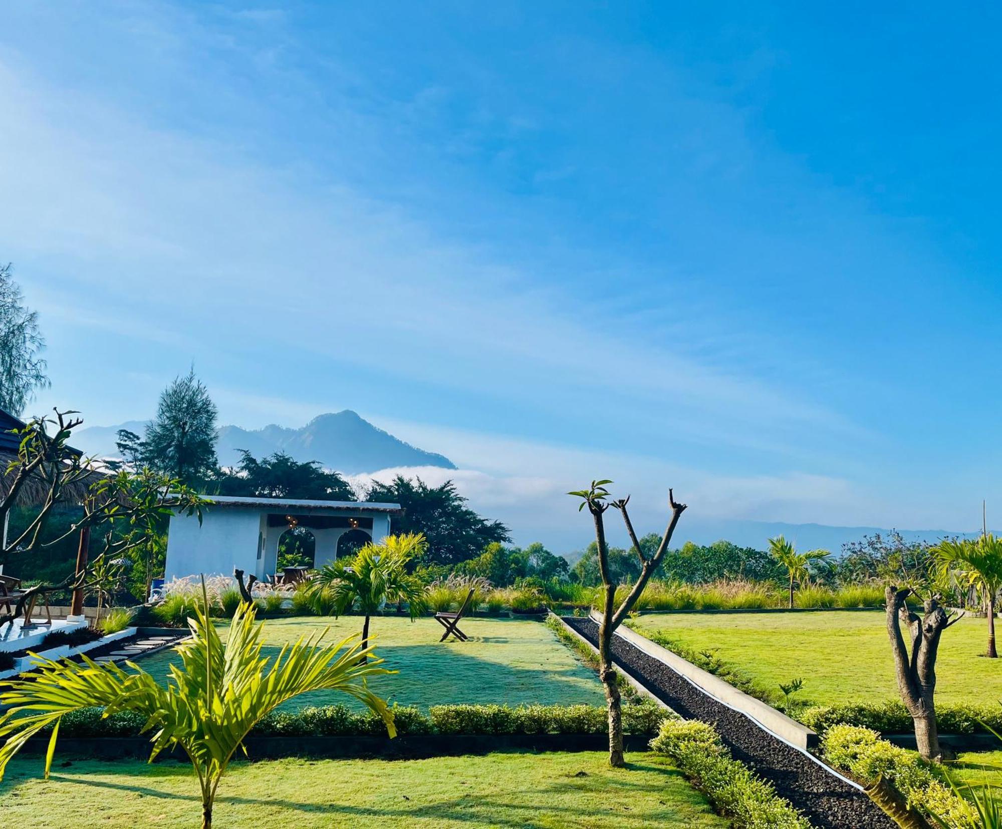 Hillside Bali Bed & Breakfast Kubupenlokan Eksteriør bilde