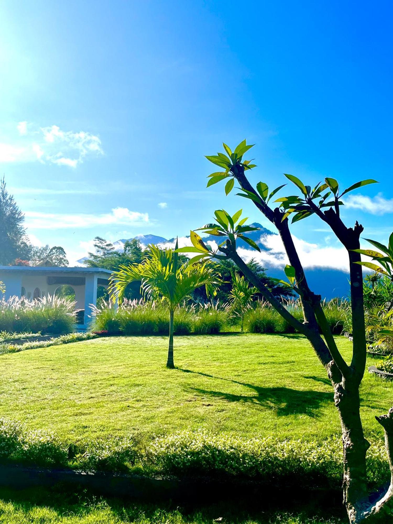 Hillside Bali Bed & Breakfast Kubupenlokan Eksteriør bilde